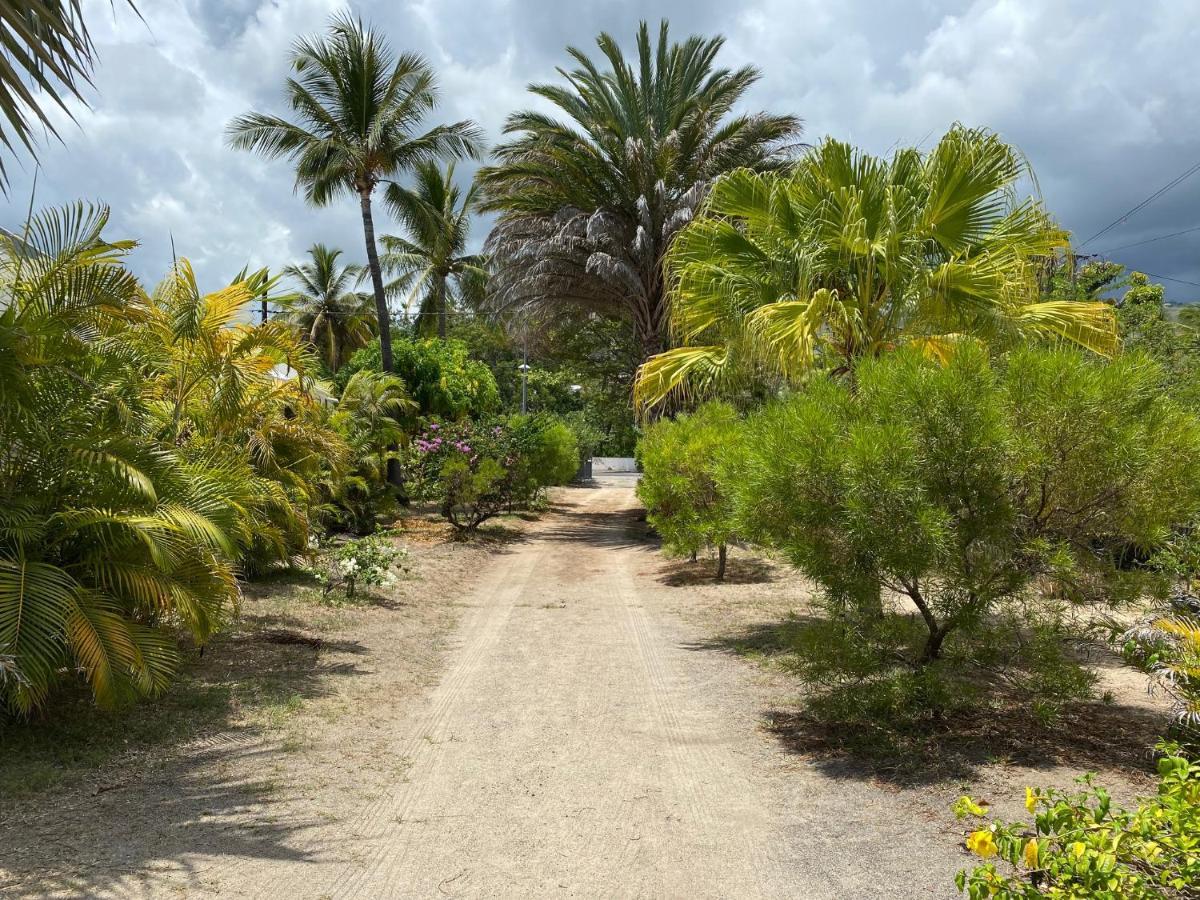 Villa & Bungalow 'Coco Des Sables' Les Pieds Dans L'Eau La Saline Le Bains Exteriér fotografie
