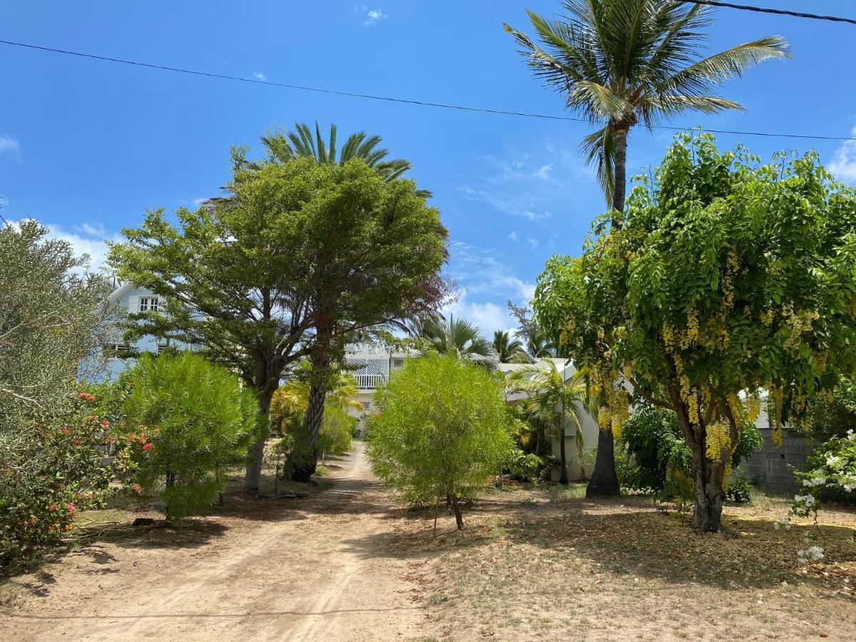 Villa & Bungalow 'Coco Des Sables' Les Pieds Dans L'Eau La Saline Le Bains Exteriér fotografie